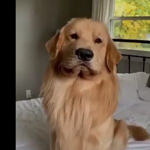 Meet your Posher, Shauntae